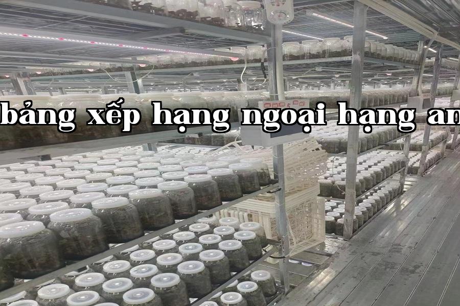 Đèn phát triển thực vật 08.jpg