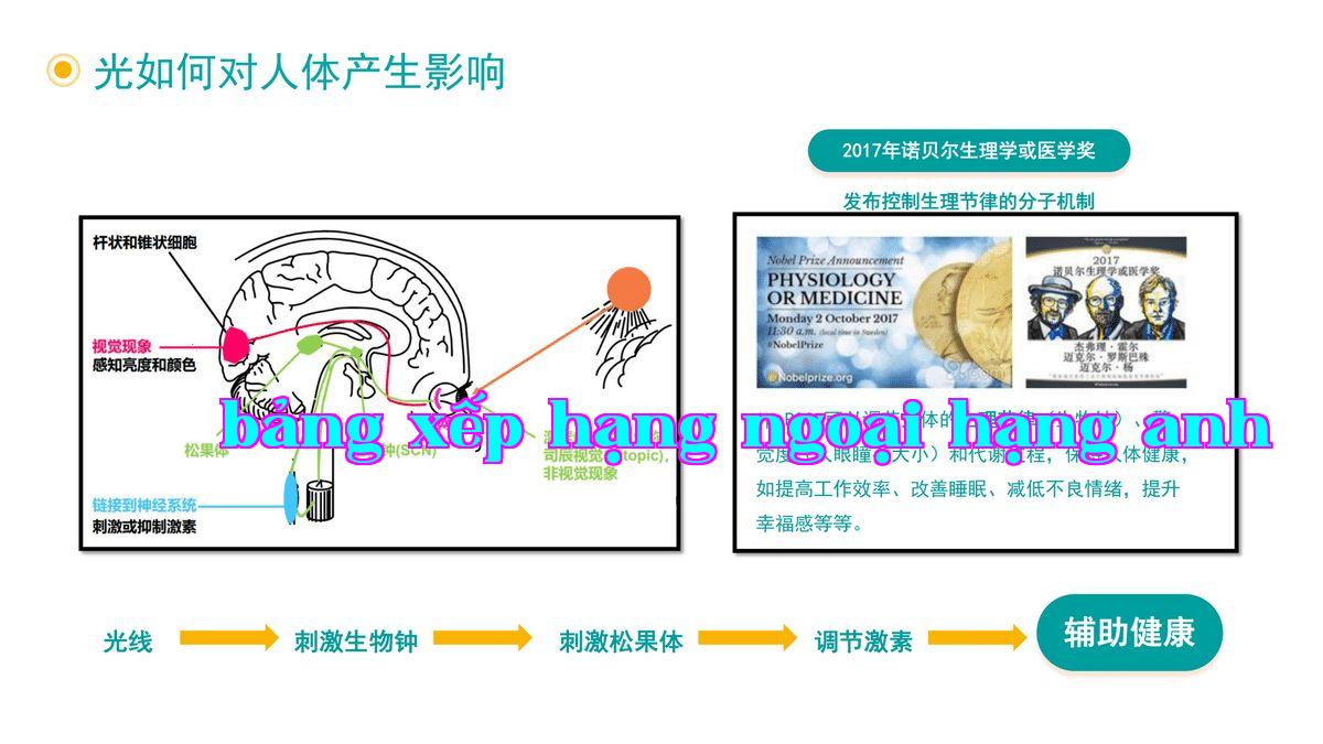 Ánh sáng ảnh hưởng đến cơ thể con người như thế nào - 1.jpg