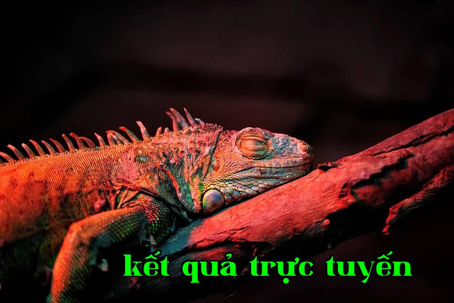 Bổ sung ánh sáng cho động thực vật 01