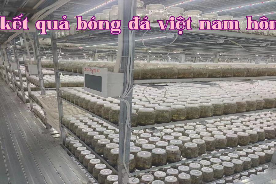 Đèn phát triển thực vật 07.jpg