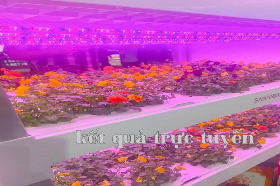 Đèn tăng trưởng thực vật 03.jpg