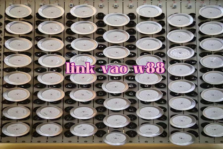 Đèn tăng trưởng thực vật 01