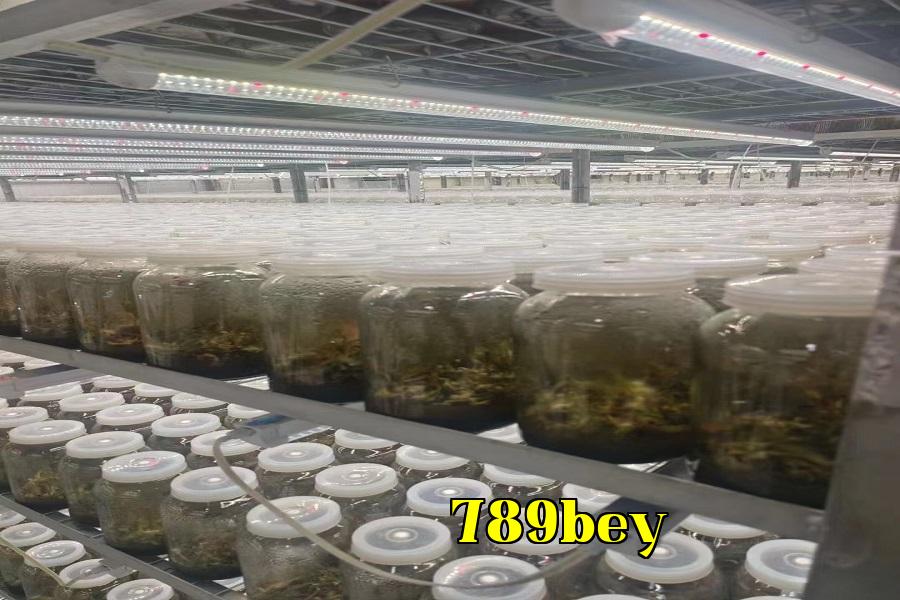 Đèn phát triển thực vật 05.jpg