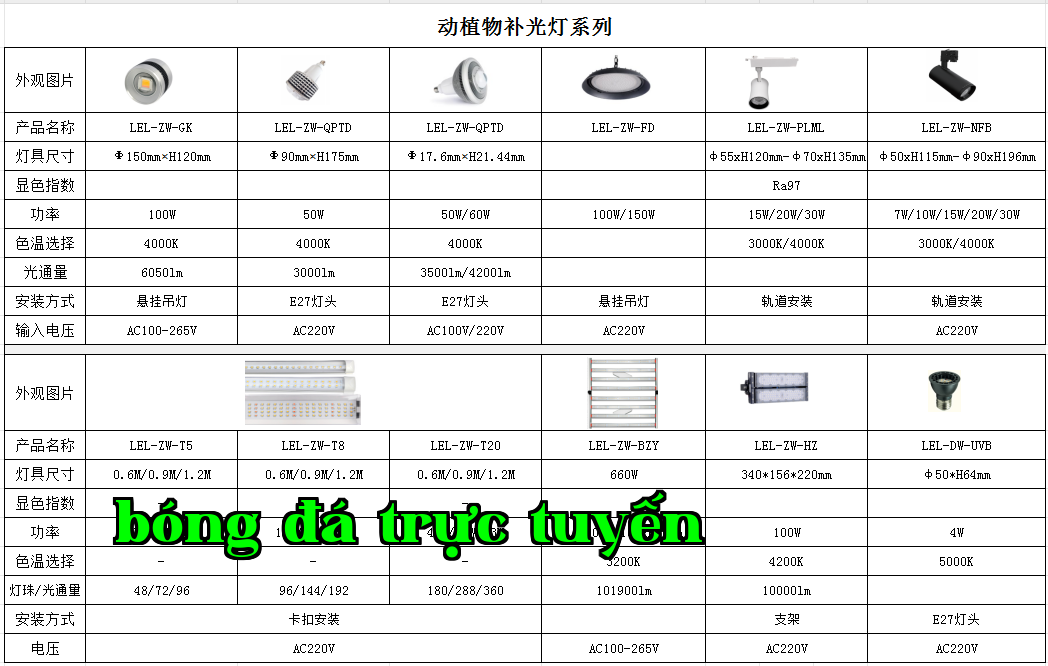 35eb6d18d2df51e1518c693b11dffef.png